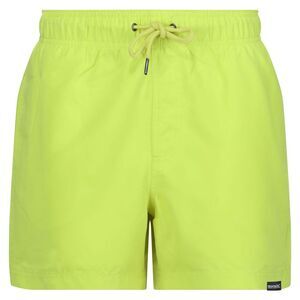 Regatta Mens Mawson II Swim Shorts / Citron Lime